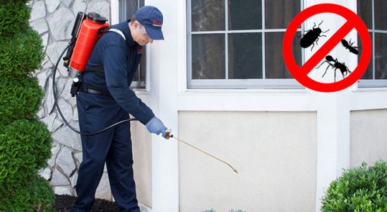 Vezirköprü Dezenfeksiyon böcek ilaçlama ve haşere kontrolü — ilaclama-tr.com